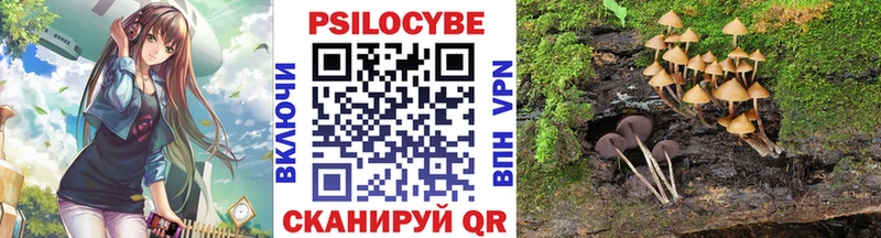 Галлюциногенные грибы GOLDEN TEACHER  наркота  Свирск 