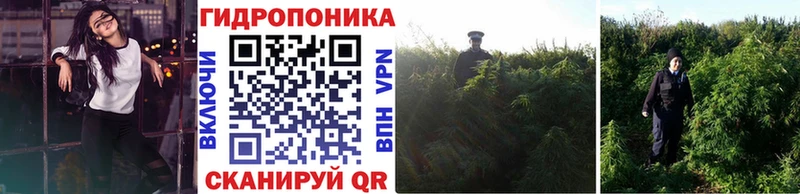 Канабис MAZAR  хочу   Свирск 